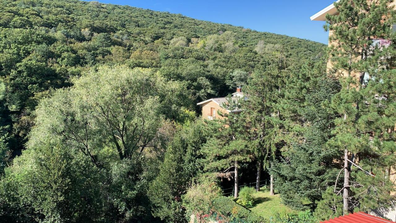 Al Bosco Incantato 的里雅斯特 外观 照片